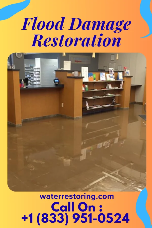 Flood Damage Restoration in Naponee, NE