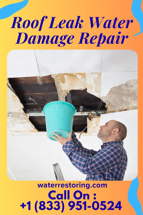 Roof Leak Water Damage Repair in Naponee, NE